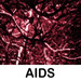 AIDS quotes